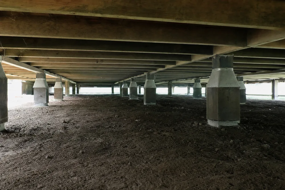The underside of a raised timber floor, with bearers and joists carried on stumps fitted with metal ant caps, over bare earth — restumping, Brisbane. Illustrative example.